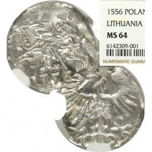 Sigismund II August, Denarius 1556, Vilnius - NGC MS64