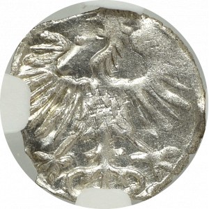 Sigismund II August, Denarius 1556, Vilnius - NGC MS64