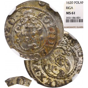 Sigismund III, Solidus 1620, Riga - NGC MS61