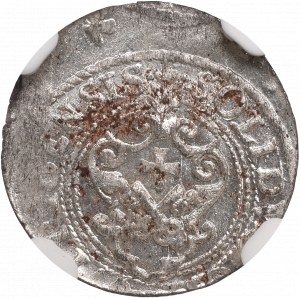 Zygmunt III Waza, Szeląg 1621, Ryga - NGC UNC Details