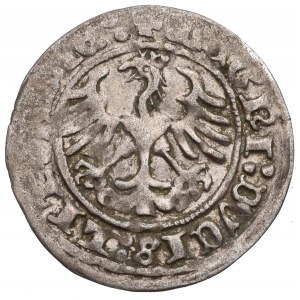 Sigismund I the Old, Halfgroat 1513, Vilnius