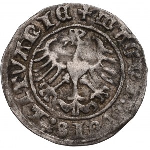 Zygmunt I Stary, Półgrosz 1513, Wilno - 13•:•/LITVANIE