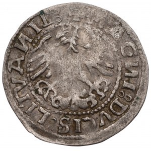 Sigismund I the Old, Halfgroat 1519, Vilnius