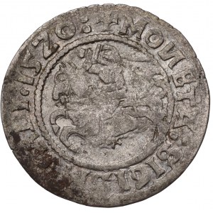 Sigismund I the Old, Halfgroat 1520, Vilnius