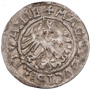 Sigismund I the Old, Halfgroat 1521, Vilnius