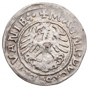 Žigmund I. Starý, polgroš 1522, Vilnius