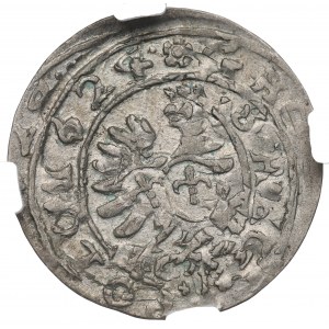 Sigismund III. Vasa, Grosz 1624, Bromberg (Bydgoszcz) - NGC MS63