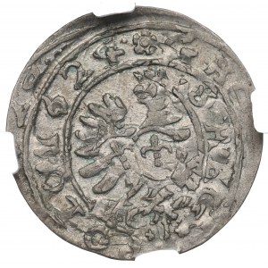 Zygmunt III Waza, Grosz 1624, Bydgoszcz - NGC MS63