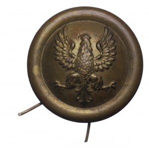 Polonia in den USA, Patriotischer Adler-Button