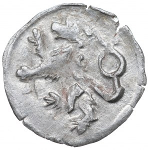Silesia, Jerzy of Podiebradu, Halerz without date, Klodzko
