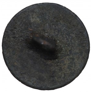 France, Napoleon I, Button garde