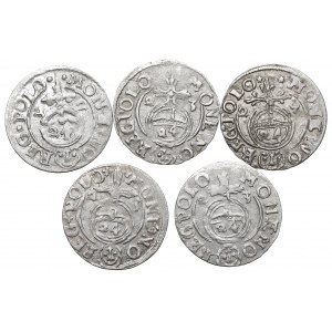 Sigismund III. Vasa, Satz von Halbspuren 1622-23 (5 Exemplare)