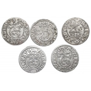 Sigismund III Vasa and Ducal Prussia, Set of half-tracks 1622-24