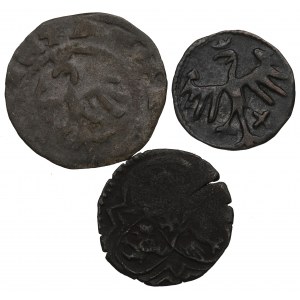 Jagiellonians, Set of pass coins