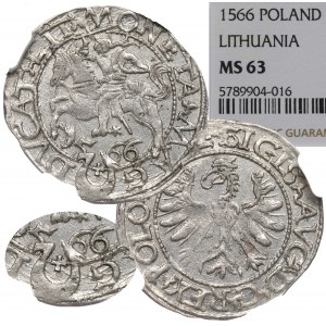 Sigismund II Augustus, Halbpfennig 1566, Tykocin - großer Jastrzębiec - RARE / NGC MS63
