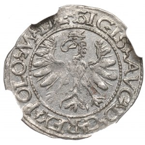 Žigmund II August, polgroš 1566, Tykocin - veľký Jastrzębiec - RARE / NGC MS63