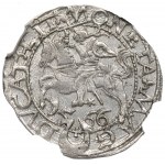 Sigismund II Augustus, Halbpfennig 1566, Tykocin - großer Jastrzębiec - RARE / NGC MS63