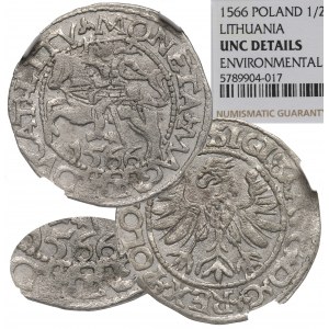Zygmunt II August, Półgrosz 1566, Tykocin - MAŁY Jastrzębiec - RZADKOŚĆ /NGC UNC