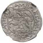Sigismund II Augustus, Halbpfennig 1566, Tykocin - KLEIN Jastrzębiec - RARE /NGC UNC