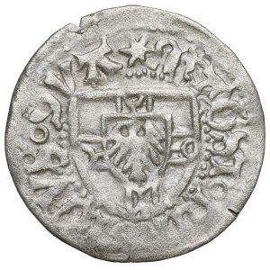 Teutonic Order, Hinricus Reffle von Richtenberg, Schilling