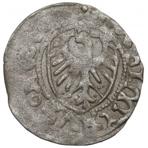 Kazimierz IV Jagiellończyk, Szeląg bez daty, Gdańsk - NIEOPISANY