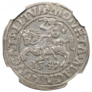 Sigismund II Augustus, Halfgroat 1547, Vilnius - NGC MS63