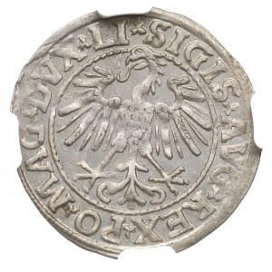 Žigmund II August, polgroš 1547, Vilnius - LI/LITVA - NGC MS63