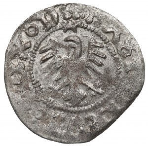 Casimir IV Jagellon, Schilling without date, Danzig