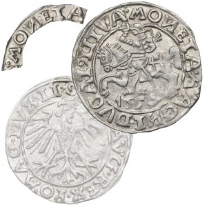 Sigismund II Augustus, Half-groat 1557, Vilnius