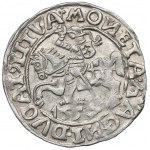 Zygmunt II August, Półgrosz 1557, Wilno - rzadkość odwrócone N stempel Behma