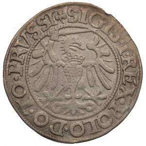 Sigismund I The Old, Groschen 1540, Elbing