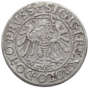 Sigismund I. der Alte, Grosz 1539, Elbląg