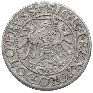 Sigismund I The Old, Groschen 1539, Elbing