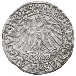 Kniežacie Prusko, Albrecht Hohenzollern, Penny 1544, Königsberg - obrátený N v BRAN