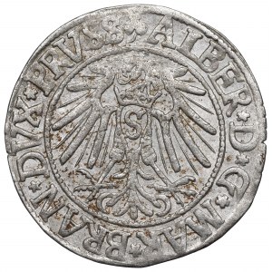 Kniežacie Prusko, Albrecht Hohenzollern, Grosz 1541, Königsberg