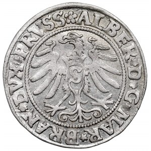 Knížecí Prusko, Albrecht Hohenzollern, Grosz 1531, Königsberg