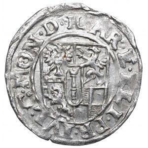 Knížecí Prusko, Jan Zikmund, Grosz 1614, Drezdenko