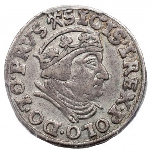 Sigismund I. der Alte, Trojak 1539, Danzig - PCGS AU53