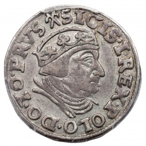 Zygmunt I Stary, Trojak 1539, Gdańsk - PCGS AU53
