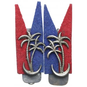 PSZnZ, Collar emblems of the Carpathian Lancers Regiment