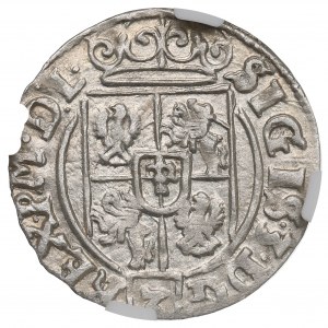 Sigismund III. Vasa, Halbspur 1626, Bydgoszcz - NGC MS63