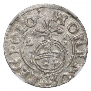 Sigismund III Vasa, Halbspur 1624, Bromberg - NGC UNC Details