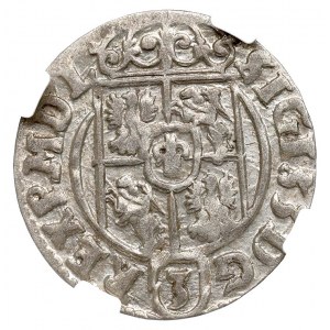 Sigismund III. Vasa, Halbspur 1624, Bromberg (Bydgoszcz) - NGC MS62