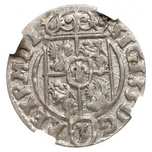 Zikmund III Vasa, polopostava 1624, Bydgoszcz - NGC MS62