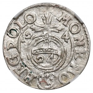Sigismund III. Vasa, Halbspur 1624, Bromberg (Bydgoszcz) - NGC MS62