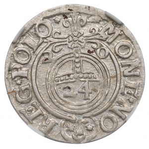 Sigismund III. Vasa, Halbspur 1620, Bromberg (Bydgoszcz) - NGC MS61