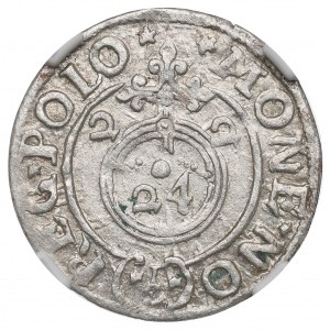 Sigismund III. Vasa, Halbspur 1622, Bromberg (Bydgoszcz) - NGC MS62