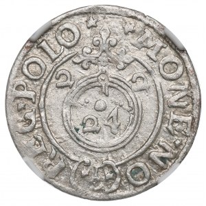 Zikmund III Vasa, polopostava 1622, Bydgoszcz - NGC MS62