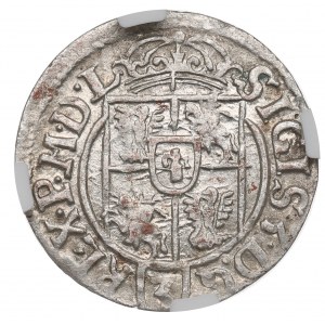 Zygmunt III Waza, Półtorak 1622, Bydgoszcz - NGC MS62
