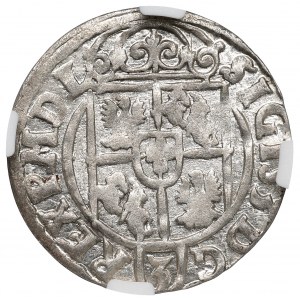 Žigmund III Vasa, polostopa 1623 Bydgoszcz - NGC MS64